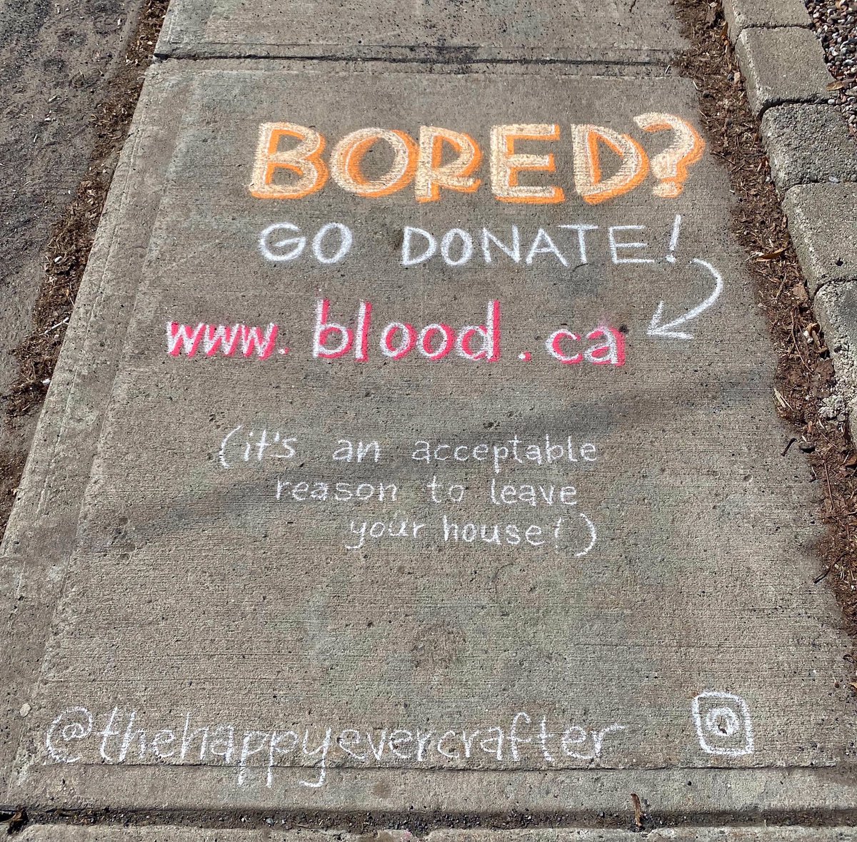 marg miedema tweet media