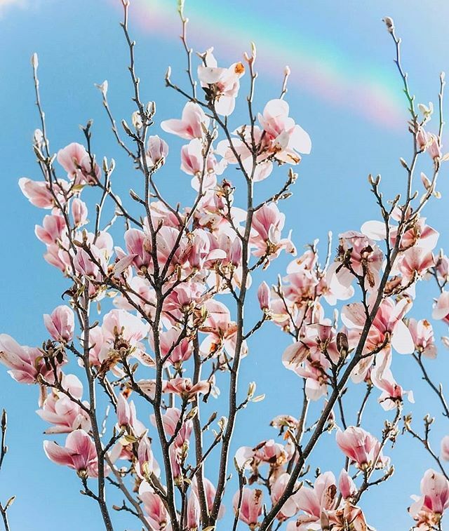 Searching for the rainbows 🌈
.
Hello, how is everyone? It's been a very strange couple of weeks hasn't it? I've personally needed to take some time away as, aside from the obvious uncertainty in the wider world, our world as a family has been rocked … ift.tt/2y0NyLb