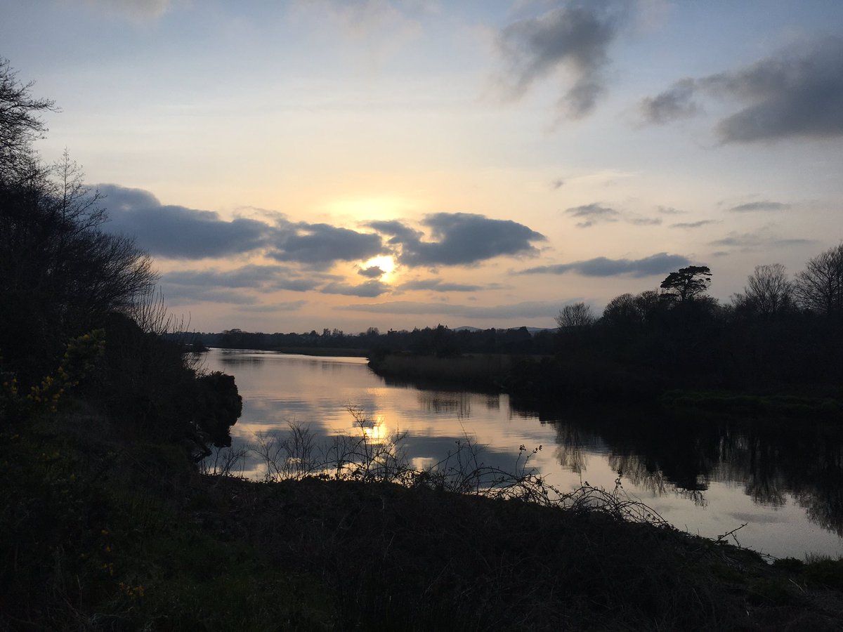 mshanley_m's tweet photo. Day 45 #100daysofwalking did my usual route in reverse today and extended it #KenmareBay #RiverSheen #Currabeg #FourCrosses #RiverRoughty #mothersday2020 #nofilter #sunshine #SocialDistancing #COVIDー19 https://t.co/7aD5OvdJrB