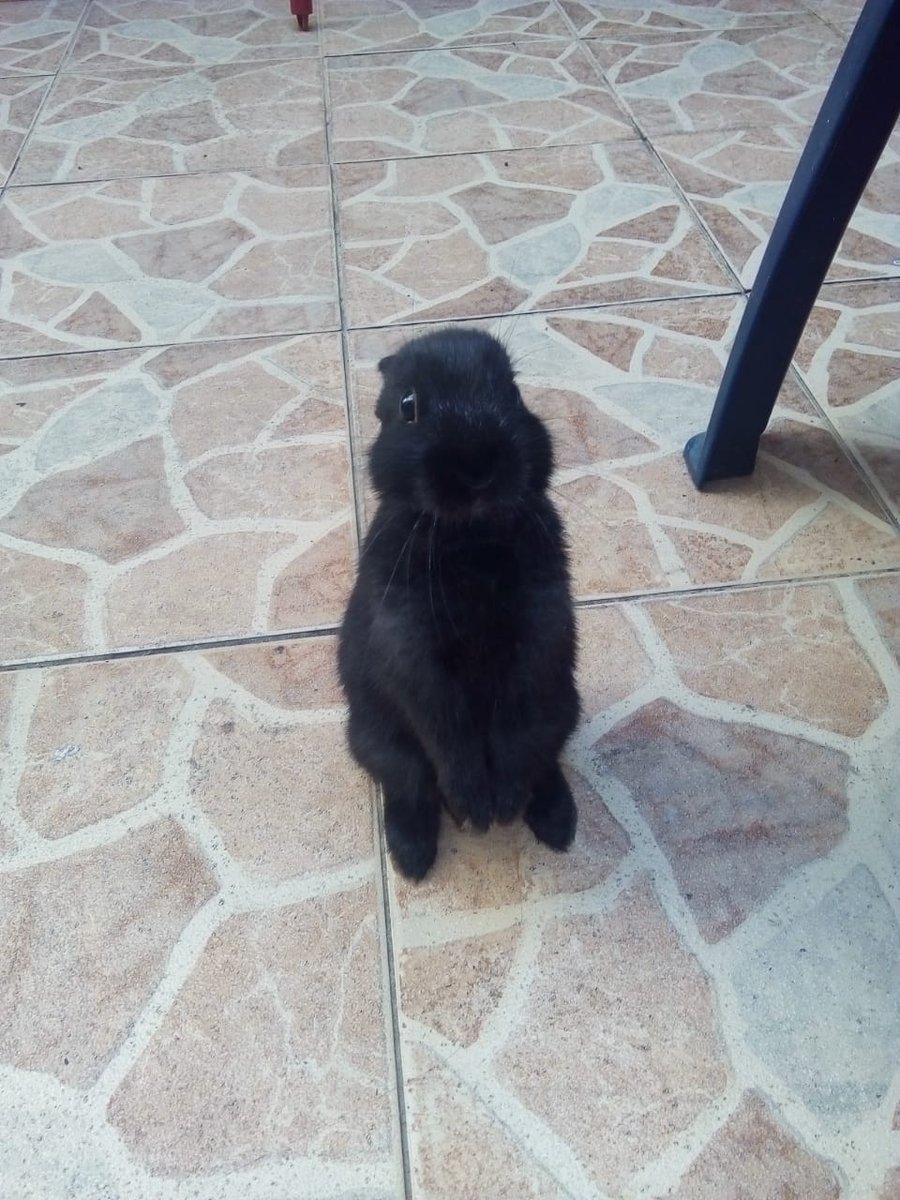 Mía.