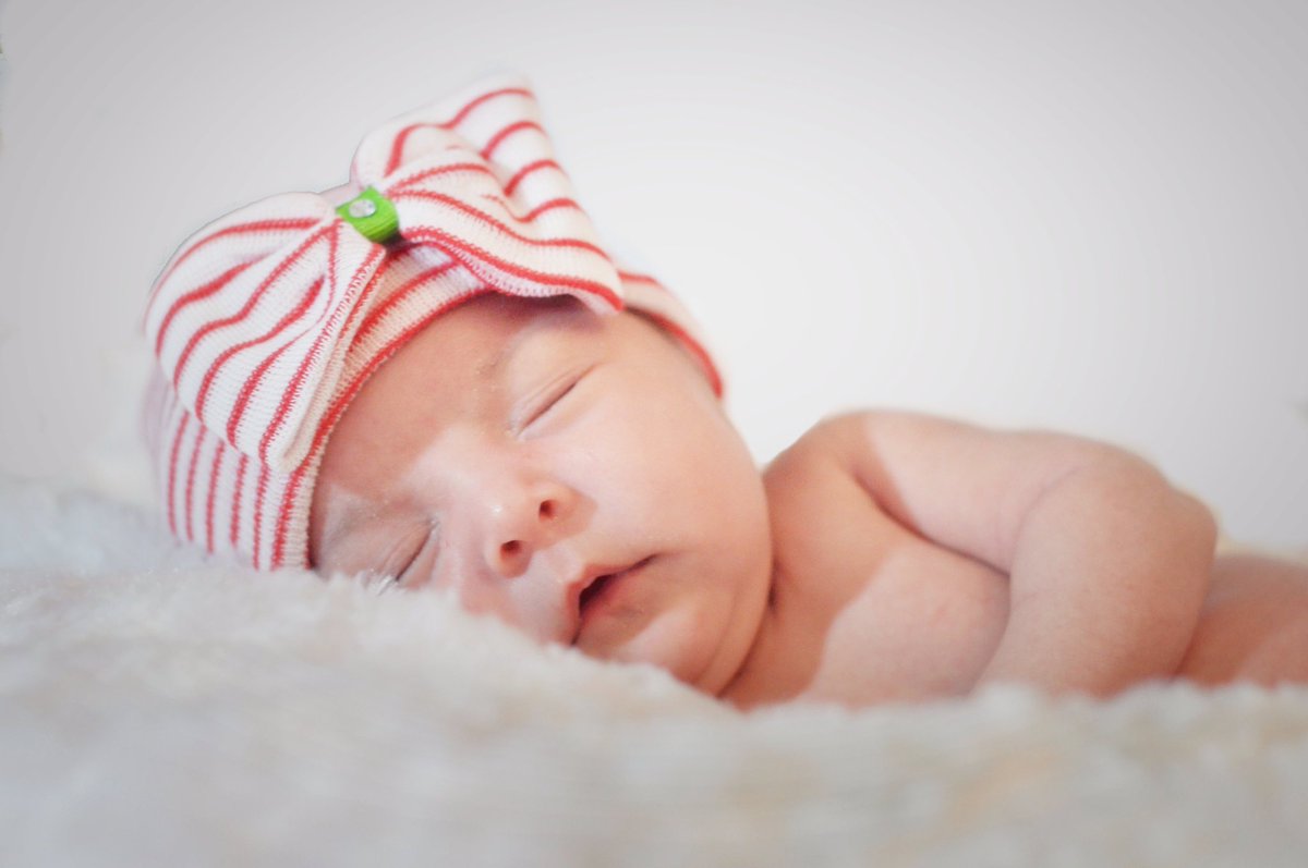 adoptionnetwork tweet picture