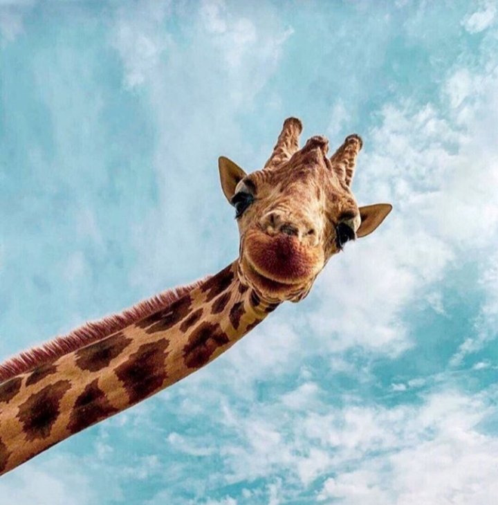 Valerestrepog's tweet image. Mirando tú potencial...