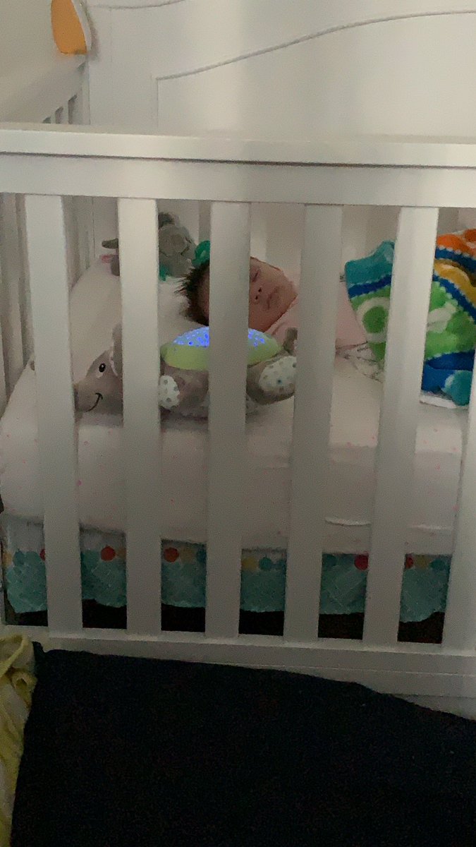 CoffeeAdventure's tweet image. Update: Batteries died in owl. Elephant will suffice. Must remember to charge batteries #SundayThoughts #momlife #cantforget