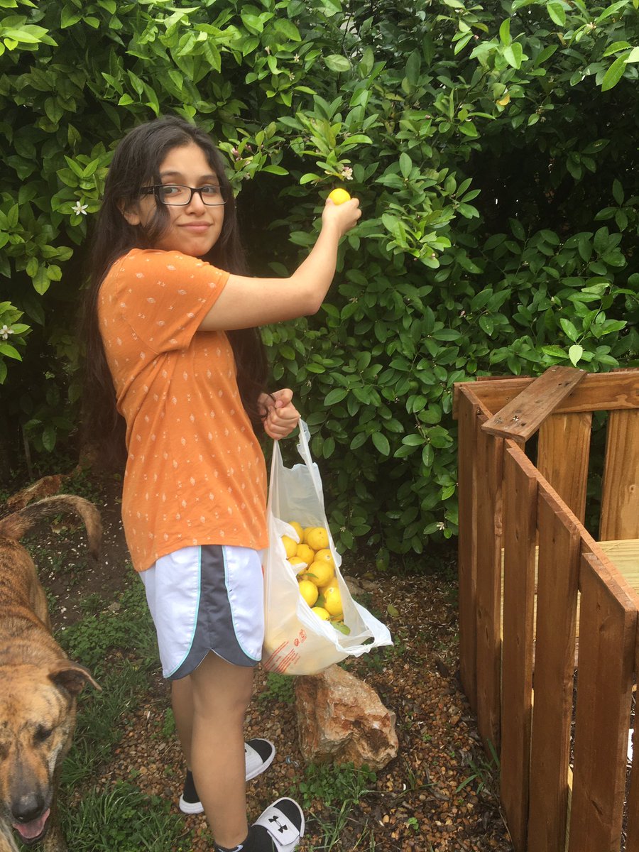 silvia martinez tweet media