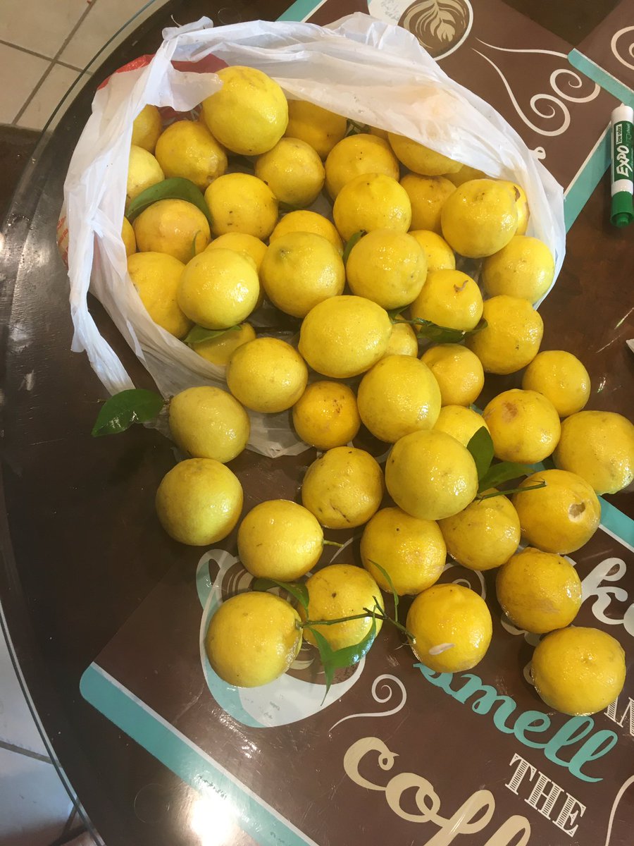 silvia martinez tweet media