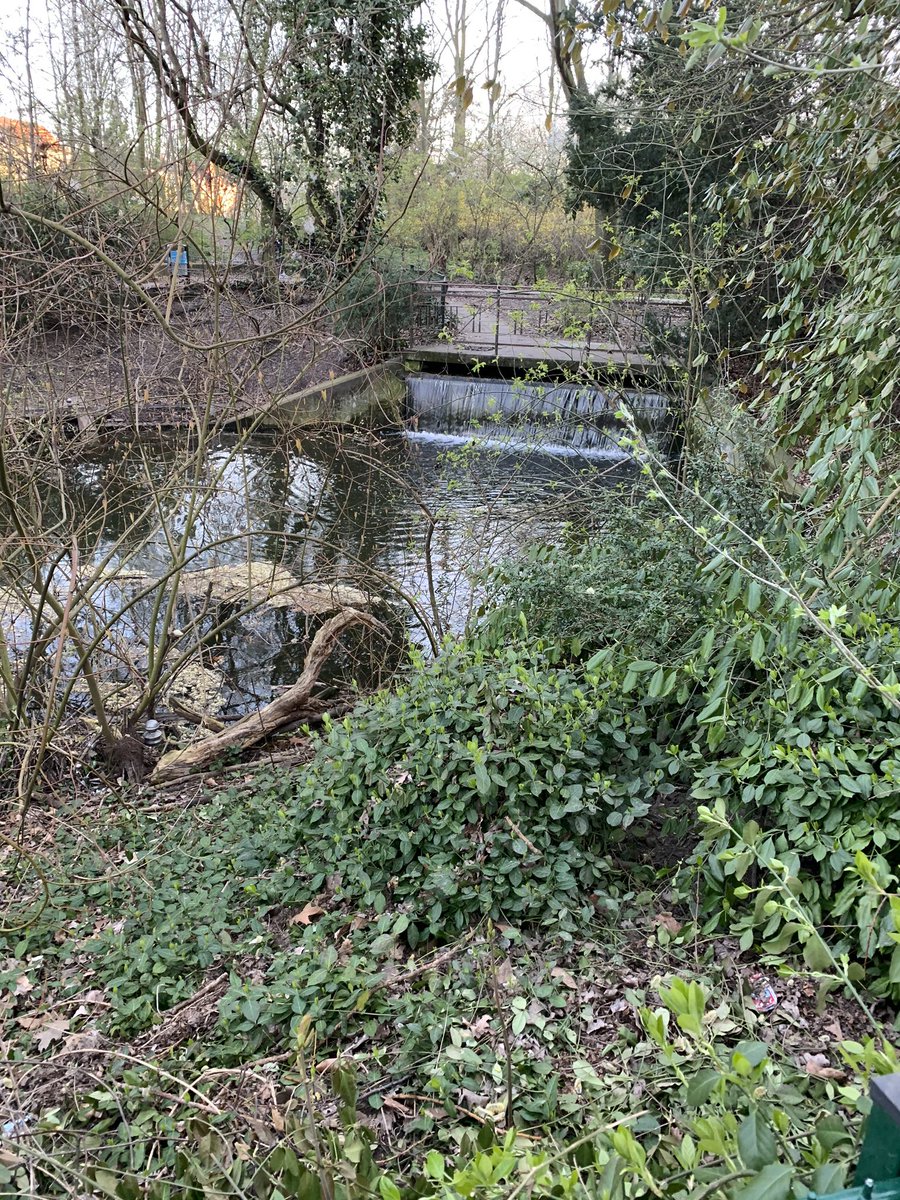 Today’s walk took us to Ernst Thälmann park in Prenzlauer Berg. You walk through an urban wilderness of duck ponds and waterfalls and then, in a Planet of the Apes moment, in a clearing looms the POST-APOCALYPTIC FACE OF A TOTALITARIAN RECENT PAST after whom the park is named