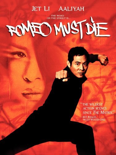 vashtiedotcom's tweet photo. 20 years ago today, Romeo Must Die was released. #RIPAaliyah https://t.co/gcrRxGmJj8