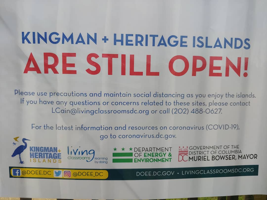 ME: Hey I'm trying to build my  #RunnerGirl stamina.FRIEND: Ok let's go for a hike around  @DOEE_DC's Kingman & Heritage Islands.[[3 hours later]]ME: Did we seriously just walk  7miles?  Welp at least we did  #SocialDistancing the whole way.  #Winning  #COVID19 – at  Kingman and Heritage Islands Park