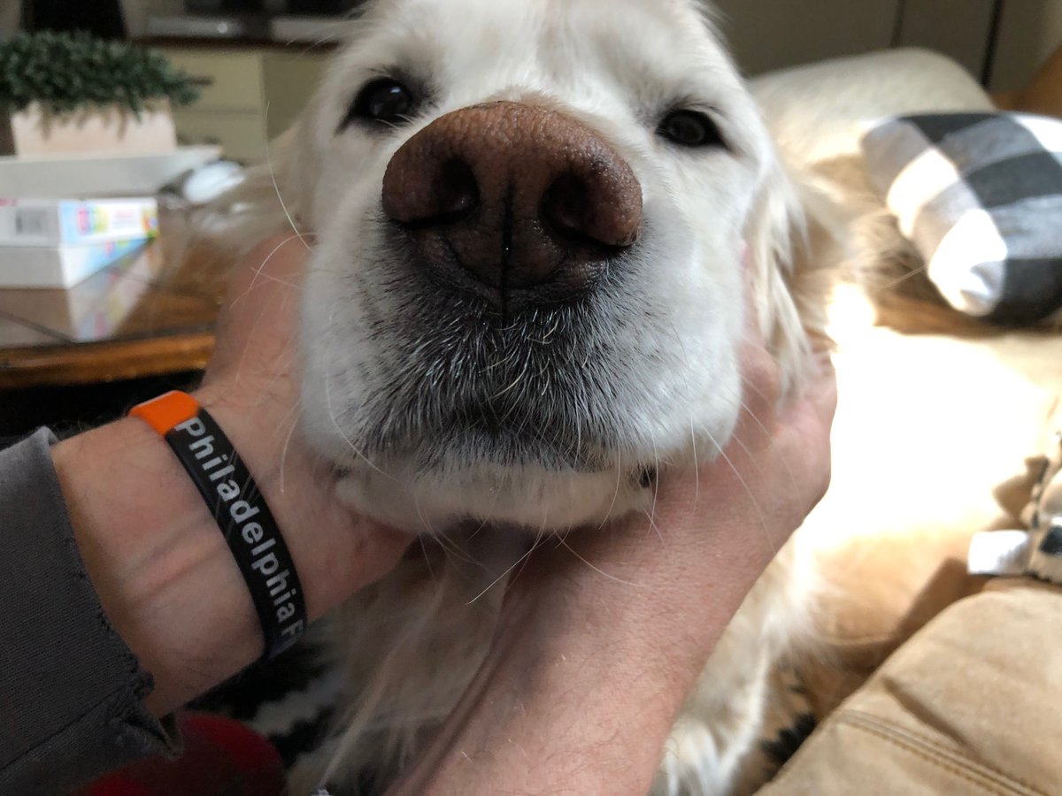 In need of a virtual emotional support animal? Set up a Zoom meeting with me and you can watch me pet this good boy for as long as you want.

He's had undivided attention for the past week, but the second you stop petting him he's like, "Why U stop?" #DoingMyPartCO