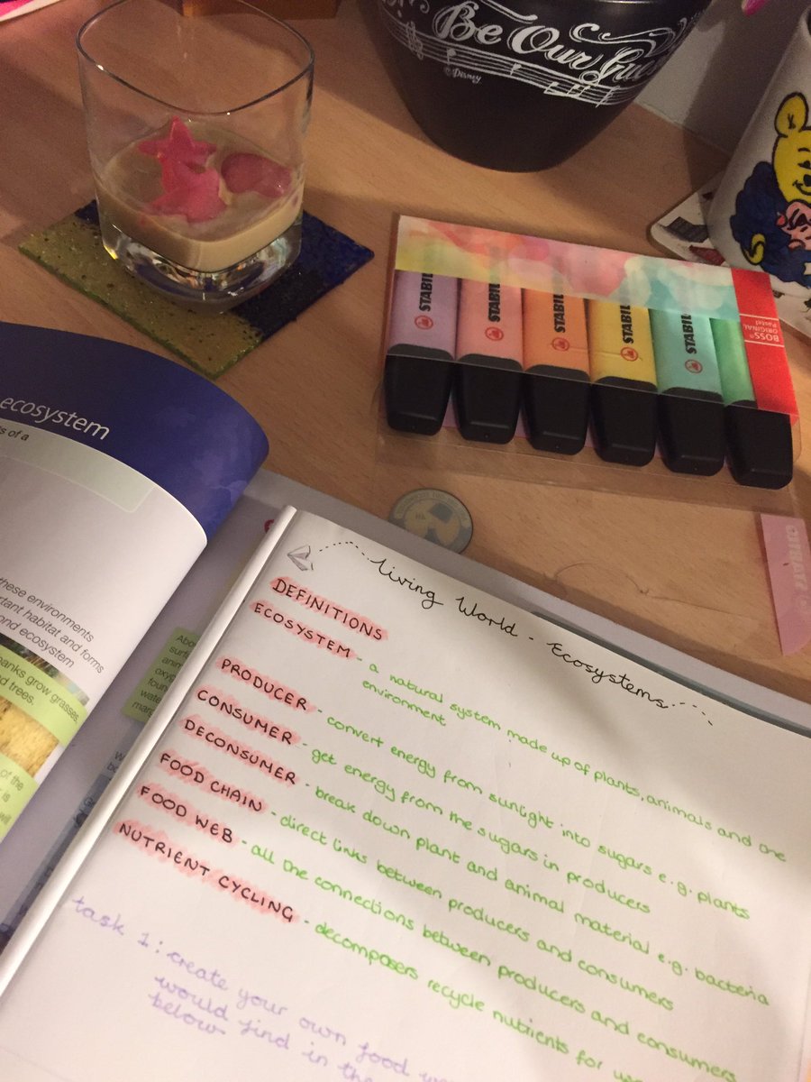 stephgeographer's tweet photo. Now this is how you plan for home learning 👌🏻 #bayleys #selfcare https://t.co/NADAuYs6dk