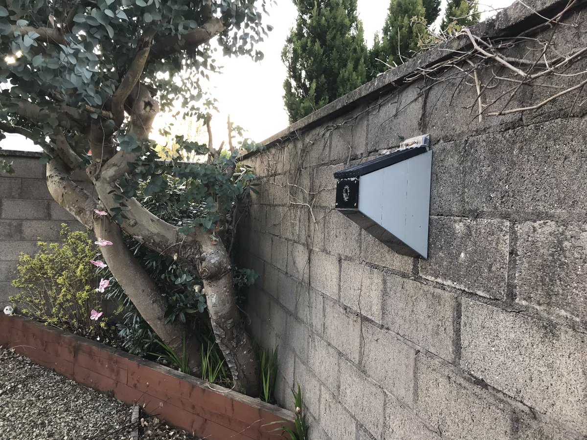 BirdintheBox1's tweet photo. Finished and hanging !! #birdinthebox #birdbox #nestbox #maker #upcycled #urbangarden #blackrock #cork 🐦🏡 https://t.co/KiawTNxUL7