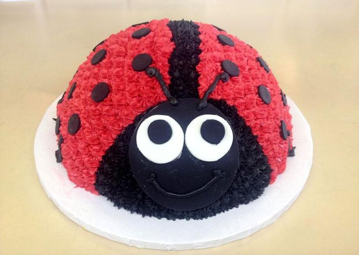 Pruny_thebeagle's tweet photo. Is the pawty over #BeaglebugClub #BugsHavingFun? https://t.co/idec9XvIwO