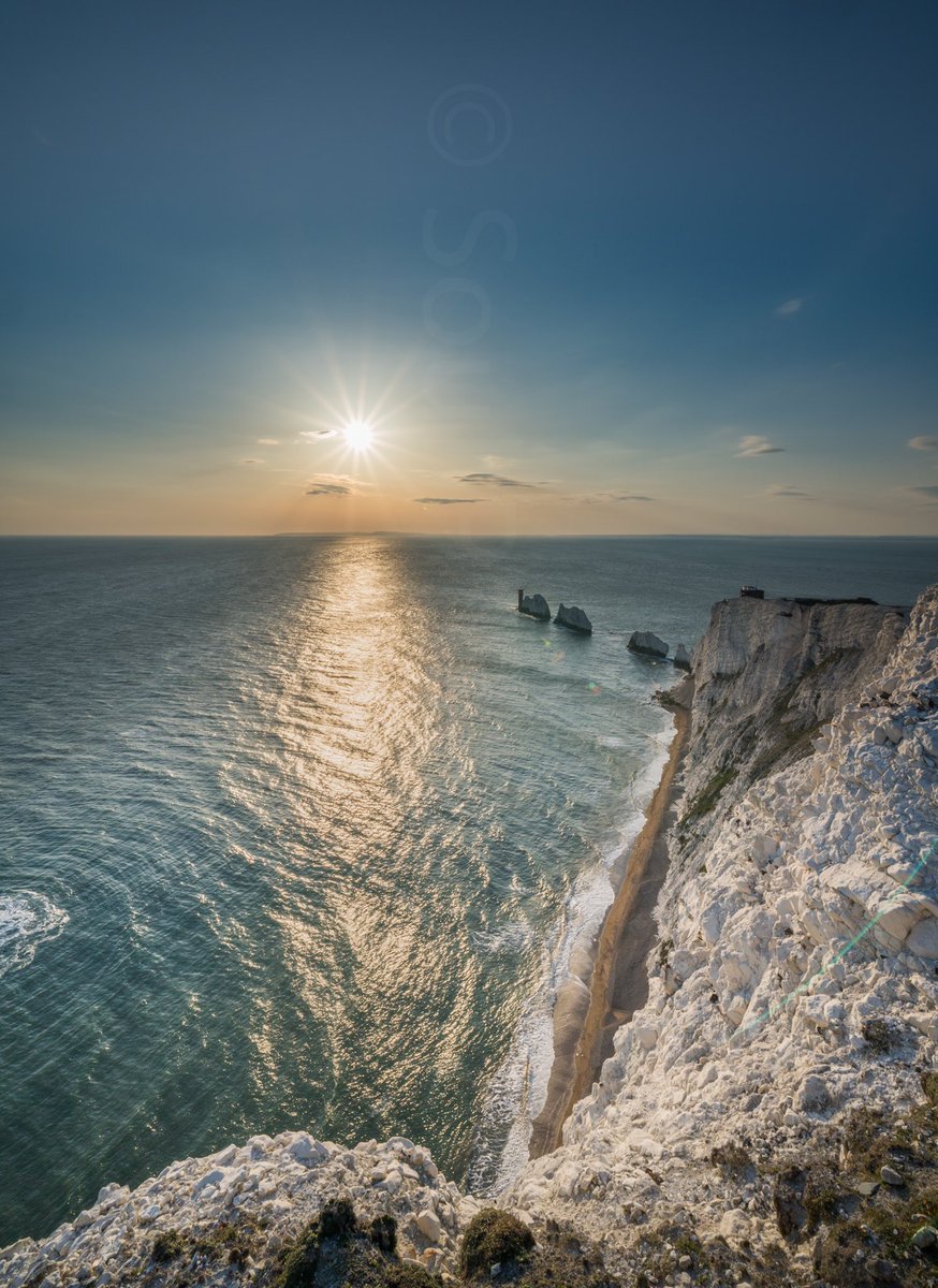 Sienna Eve Photography tweet media