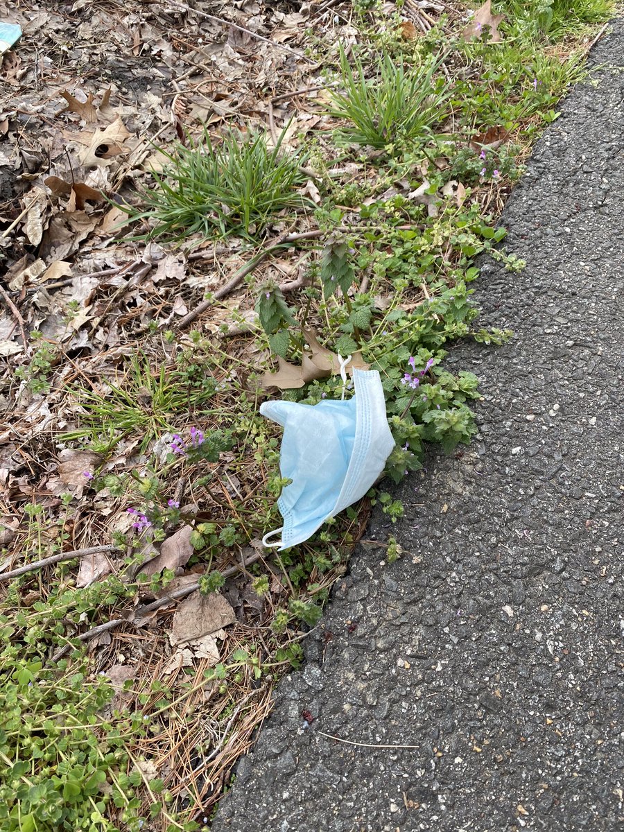 beckyrogness's tweet image. Come’on Fairfax County #roadsidetrash #preciouscommodity