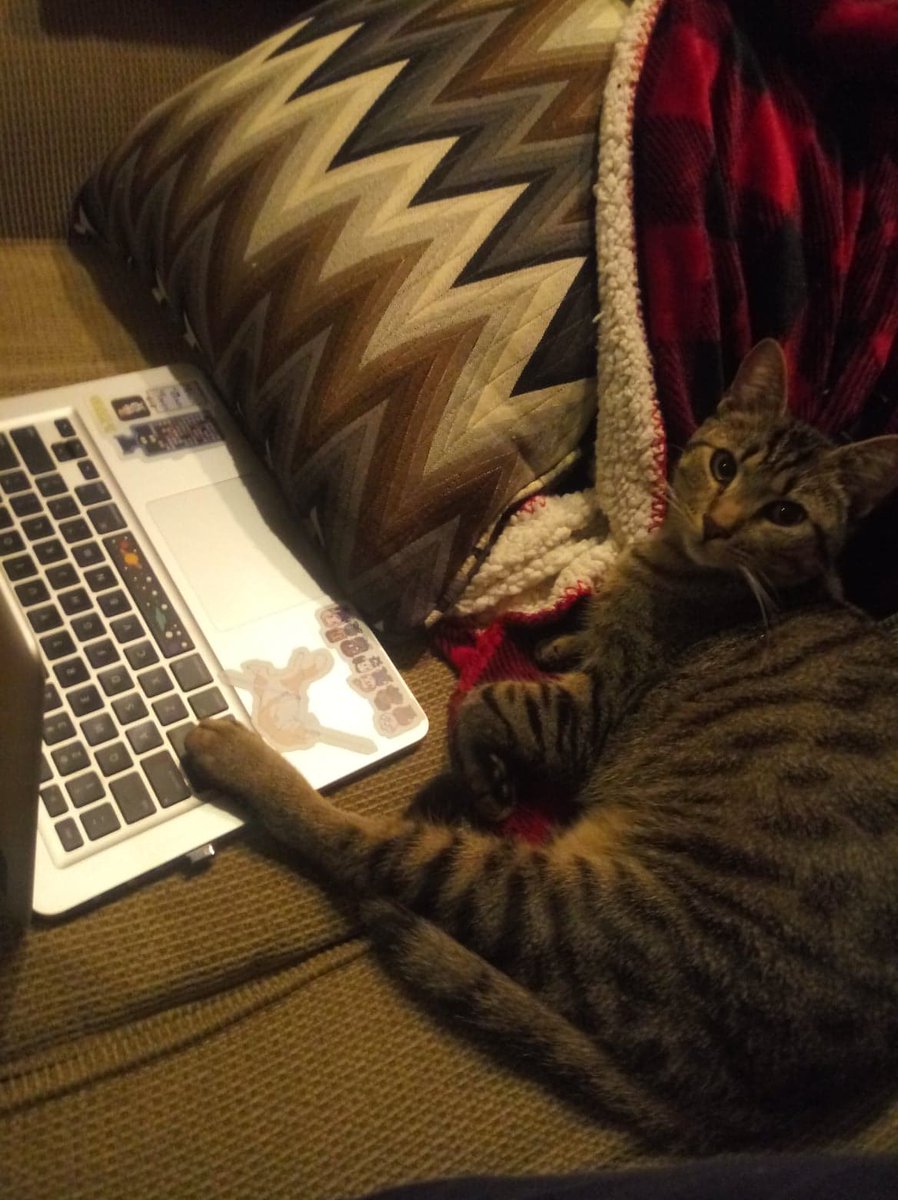 IWriteGoodly's tweet image. Oh, did you need to use this?...

#writingcommunity #amwriting