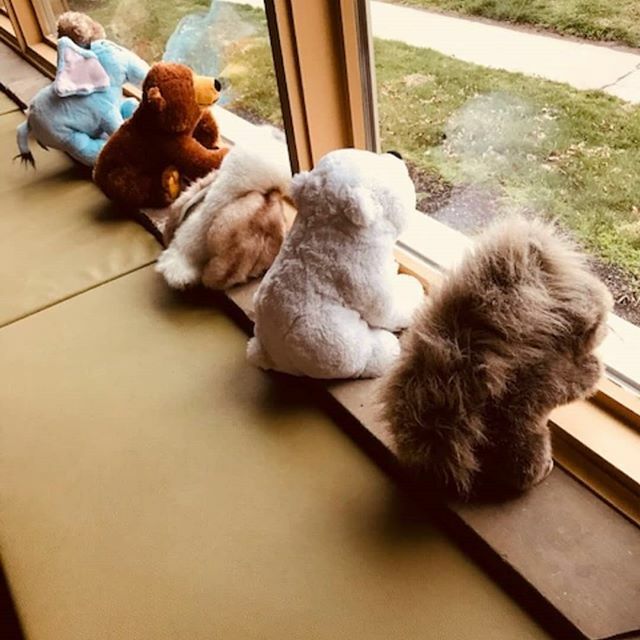 The #BookBuddies at our #FrankfortBranchLibrary sure are missing the kids coming in to read to them. We all miss our patrons, but we're hoping you're staying healthy during this difficult time. Don't forget to utilize the many online resources we have at… ift.tt/2xcQl3r