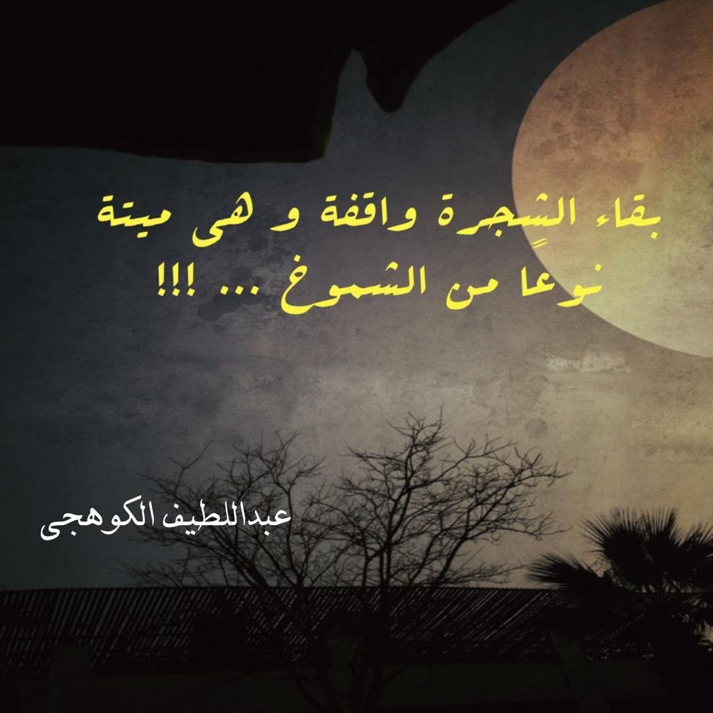 altkohej's tweet photo. تصبحون على خير 🌷 https://t.co/CJDTqq7ClZ