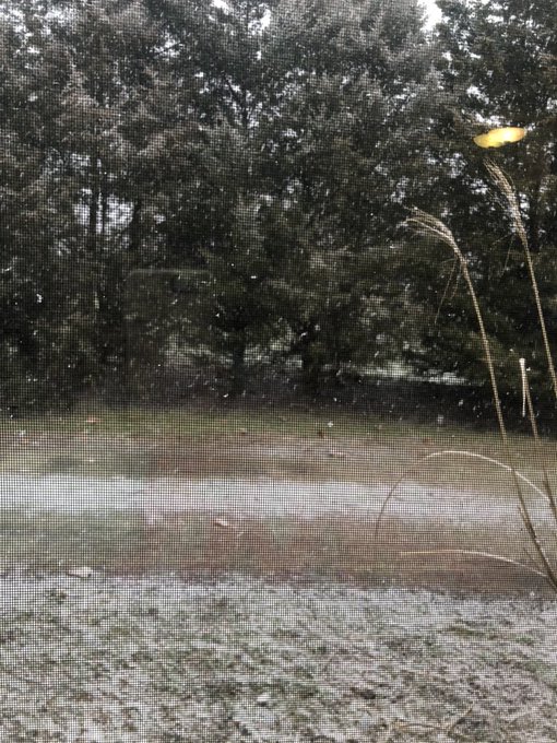 Happy #Spring from Indiana!!! 💋💋 https://t.co/wf7iZgjZQJ<a href="/tag/spring"class="tags">#Spring</a>