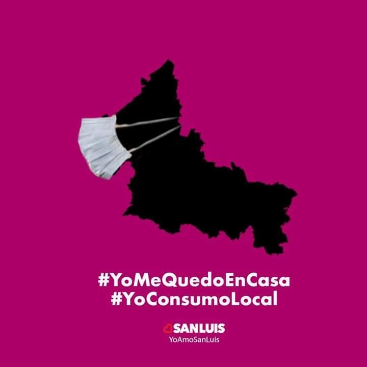 Guadalupe Nogueira tweet media
