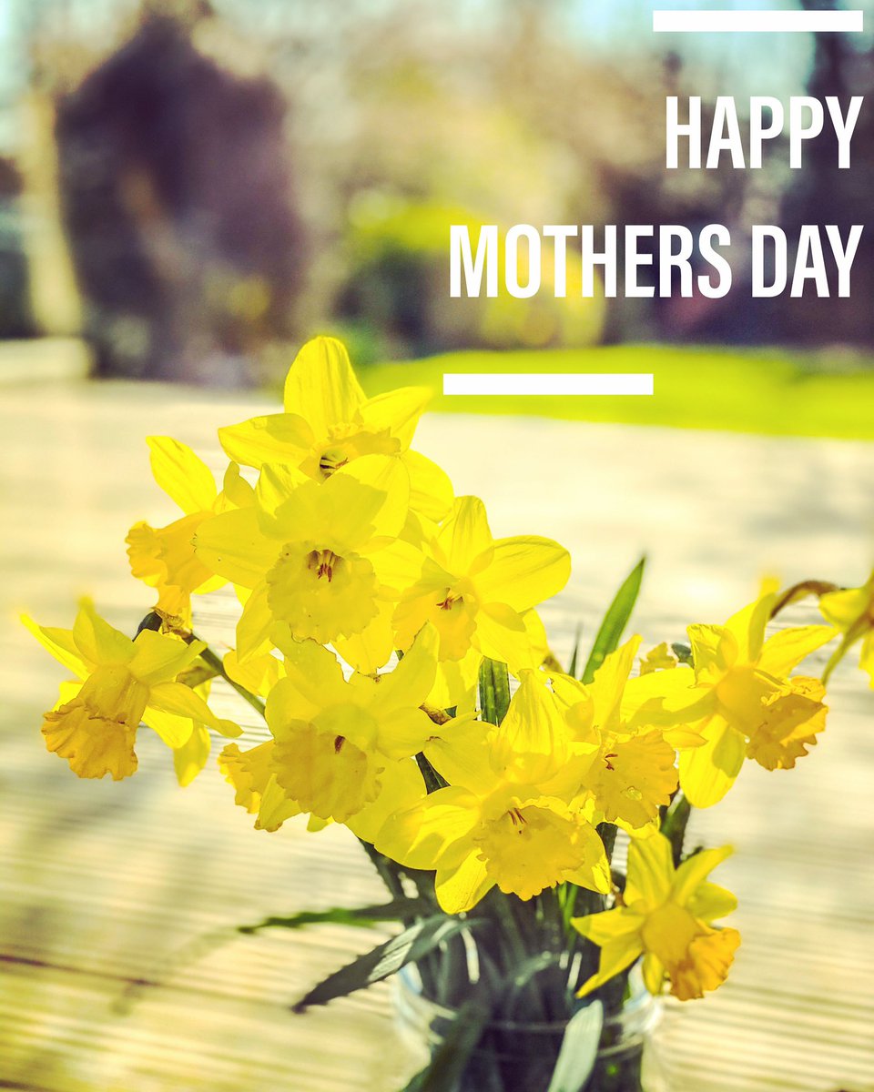 insideKENT's tweet photo. Happy Mother’s Day to all you amazing mummies out there. Tough times at the moment but just to let you know you all rock!! 💛💛🌼☀️
#mothersday #kent #insidekent #hellowsideways #kentmums #kentmummy #motheringsunday #daffodils #staystrong #mumsrock https://t.co/KSXOFCv5Ms