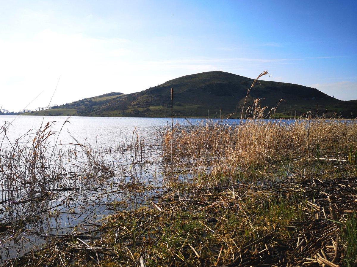 eugenesjourneys's tweet photo. At the base of Knockadoon Hill in Co Limerick is Lough Gur, rich in history still a great place to visit.

#loughgur #richinhistory #archeology
#irish #ireland #colimerick
@LoughGurVisit @LimerickCouncil @airlingus_fake @GoToIreland @TourismIreland https://t.co/EfGyTQWKHx