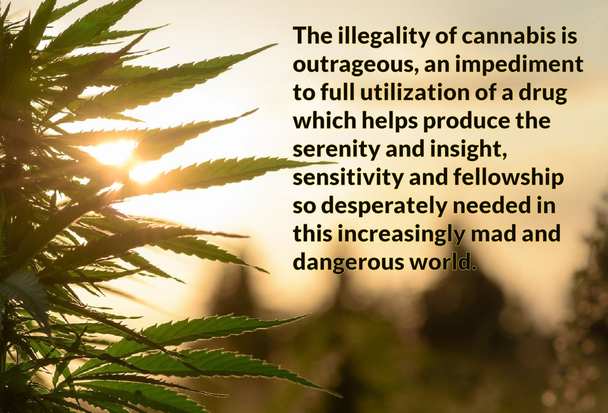 Godzmazter's tweet photo. #GodzWeedz #StonerFam #TNBNaturalsSponsoredGrower #DontPanicItsOrganic #SmokeTokeChoke #MakeCloudz #PeaceLoveAndHippieBeadz #Stoner #Pothead #Dank #LegalizeIt #MedicalCannabis #Weed #Memes #Rasta #fUCkPaiN #FreeYourMind #OneLove #pEaCe #Hippie 

#420Truth .. ✌💚 https://t.co/koXEpjlGe8