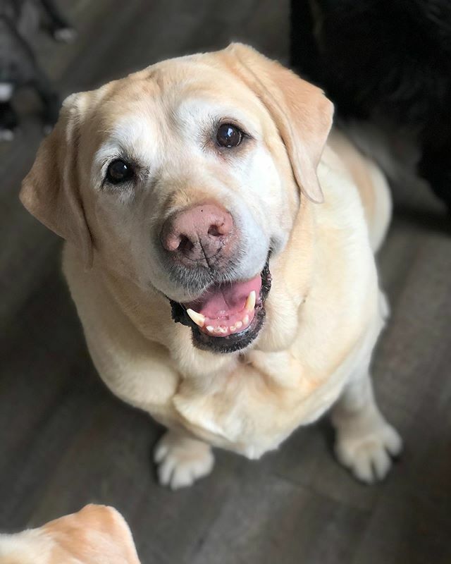 At least it’s nice out and we have treats, right? ift.tt/3dnQkKw