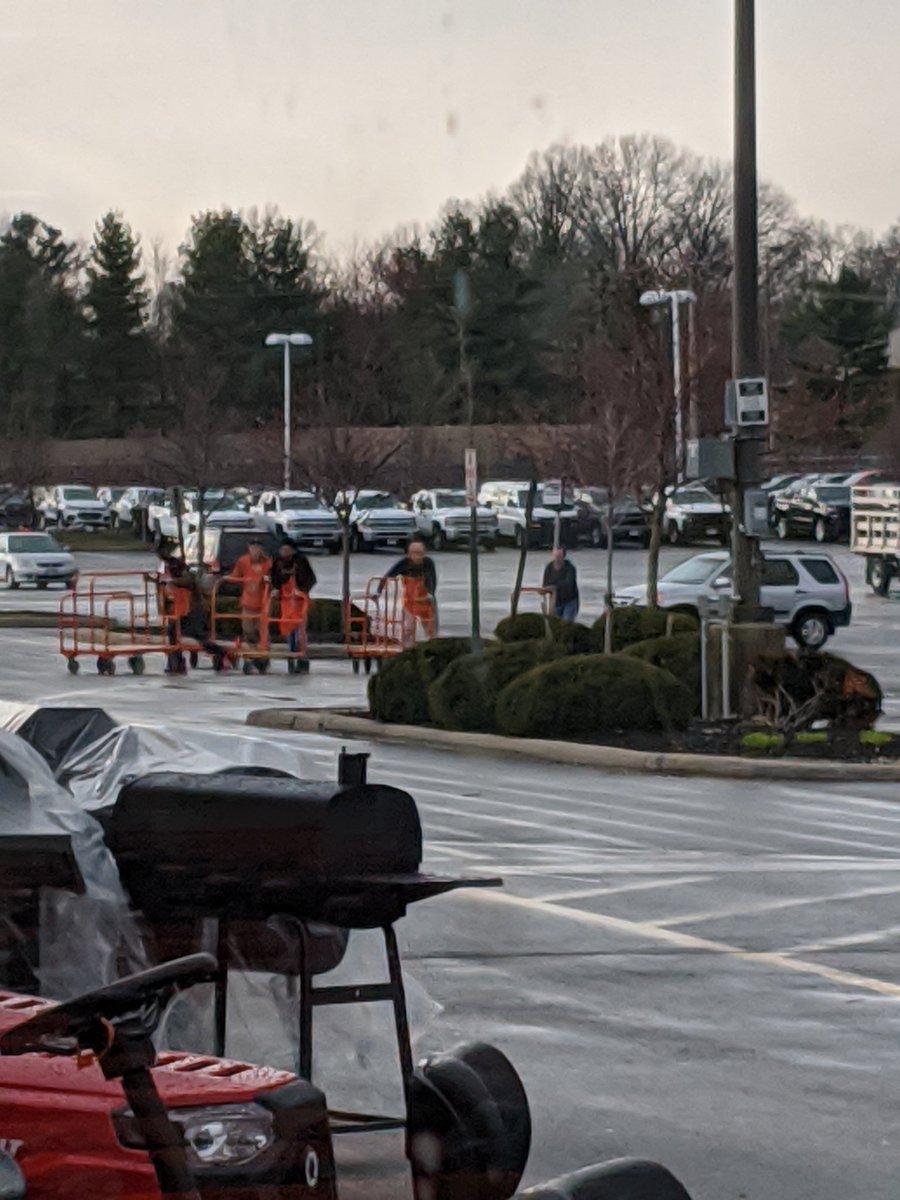 Peter Miller tweet media