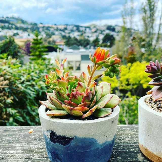 The world is too beautiful to be ending. It is a shift. The earth is adjusting and we are adjusting with it. We have the opportunity to learn things about ourselves and about our community. A scary as it feels, these opportunities are real. We will conti… ift.tt/2QARqJ2