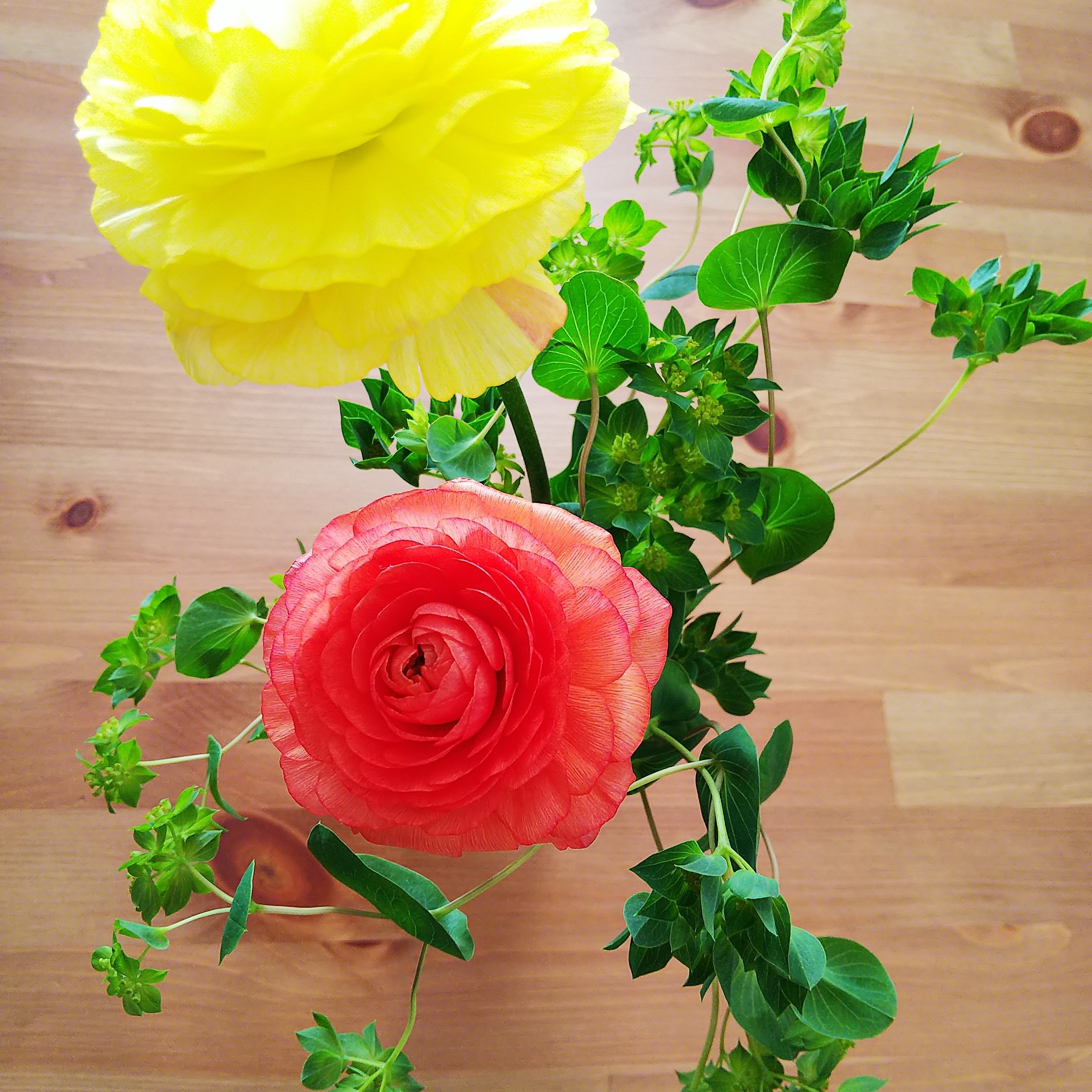 E2r0i2k2o 時々好きな花を買ってきて飾る 癒される ブプレリュウム ラナンキュラス 花の色は次女のチョイス ビタミンカラー 元気が出る 癒される 花 キレイ 花のある暮らし T Co Jobbmjucuk Twitter