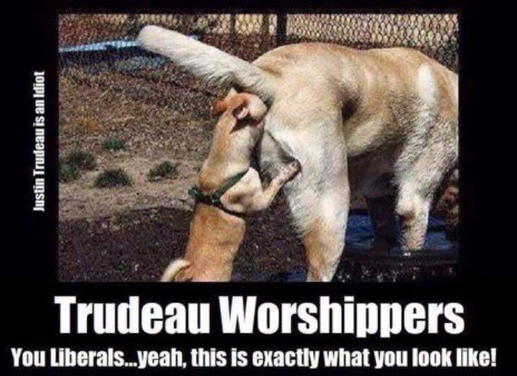GothamBatSignal's tweet photo. #TrudeauLiedPeopleDied
#LiberalismIsAMentalDisease
I am ready for #SeparateWithSAL #albertaseparation #AlbertaIndependence #WeXitNow #WeXit
Keep #AlbertaStrong & neuter all #TrudeauWorstPM supporters then send #CrimeMinister to jail & defund all #cdnpoli PMs for incompetence https://t.co/Ahn2SIb7rT