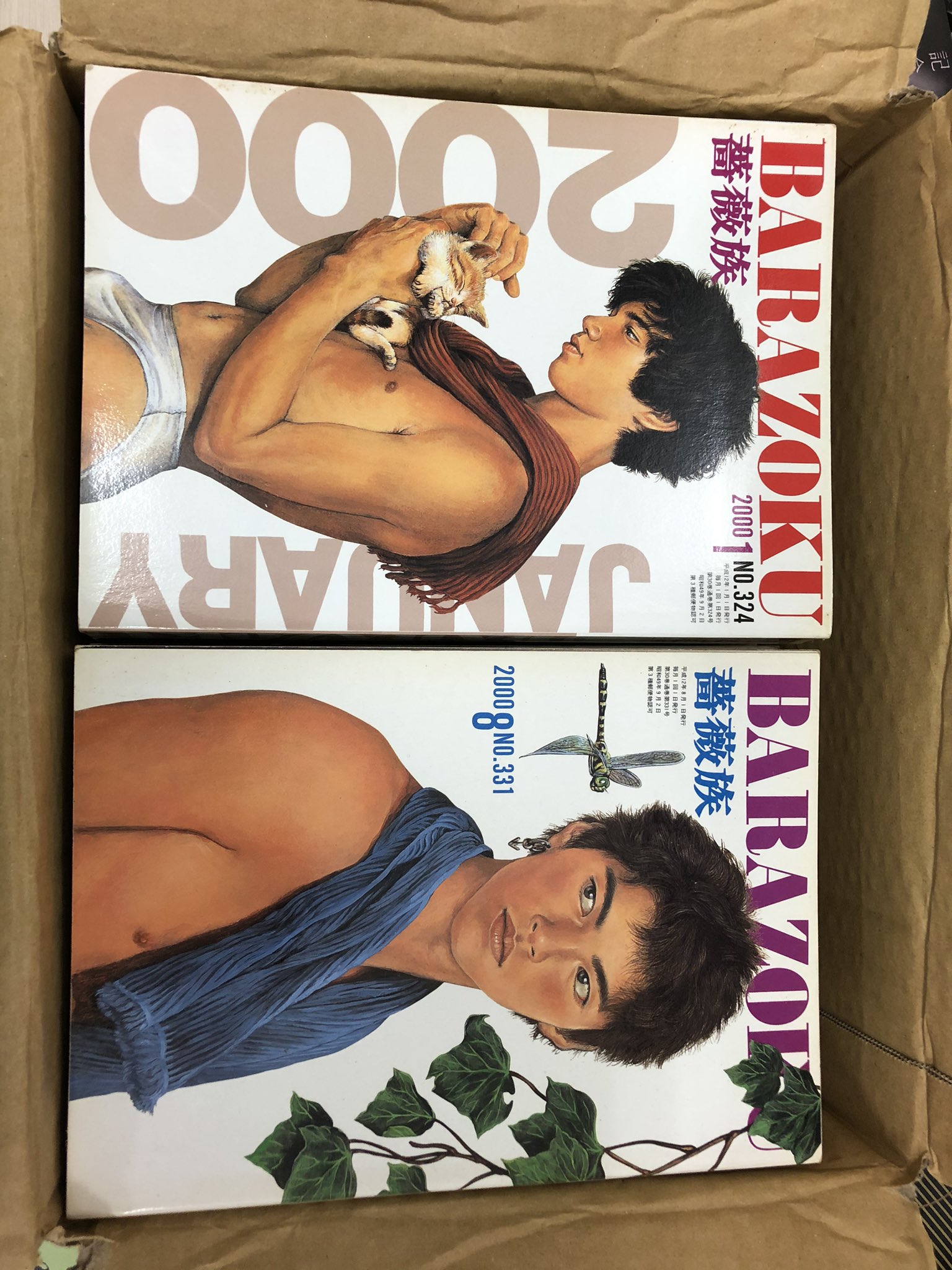 薔薇族　1997年1〜12月　12冊 まとめ売 薔薇族 12冊 1995 1~12月号 BL さぶ ADON BAdi（Yahoo