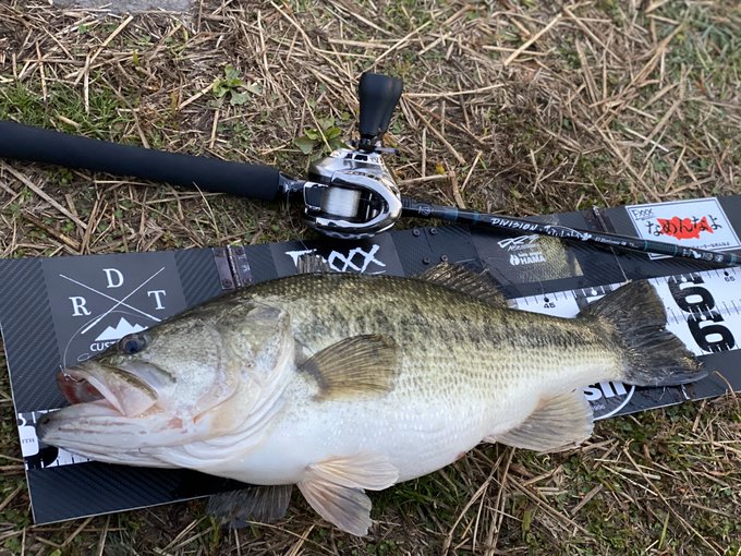 イモリッパー95のインプレ ノーシンカー使用でバックスライドさせやすい 人気の釣れる釣り具はこれ 爆釣必須の道具選び