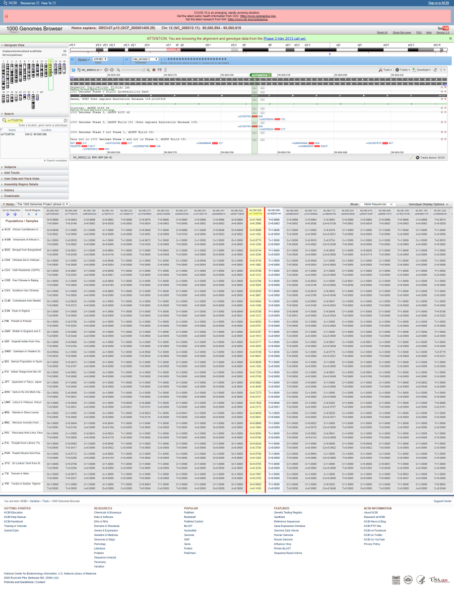 Interaction according to urinary sodium excretion level on the association between ATP2B1 rs17249754 and incident hypertension: Korean genome epidemiology study.excessive sodium intake=ATP2B1 rs17249754 mutant allele carriers at high risk of hypertension" https://www.ncbi.nlm.nih.gov/pubmed/27149052 