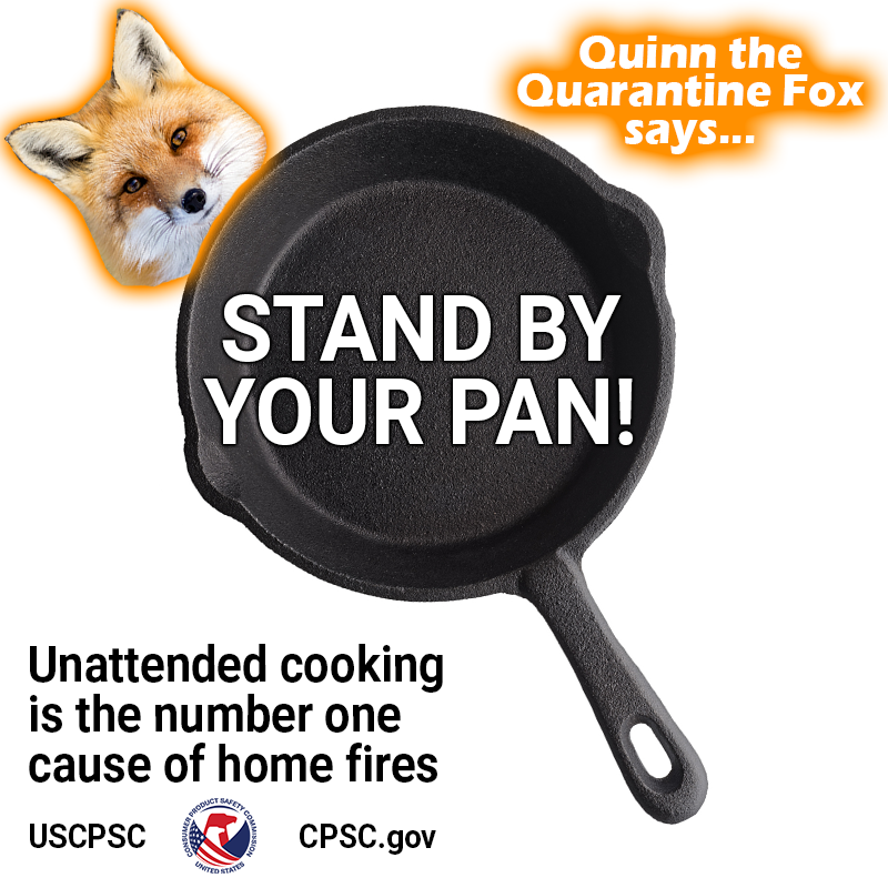Quinn the Quarantine Fox says: Stand by your pan, America! Unattended cooking is the number one cause of home fires.