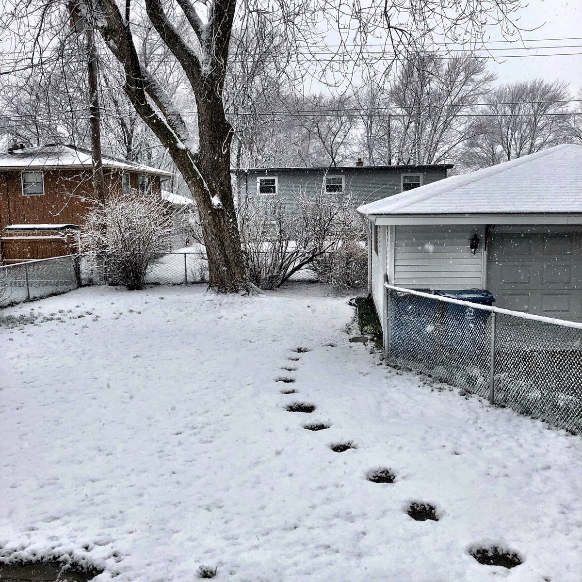 Let it snow, let it snow, let it snow!