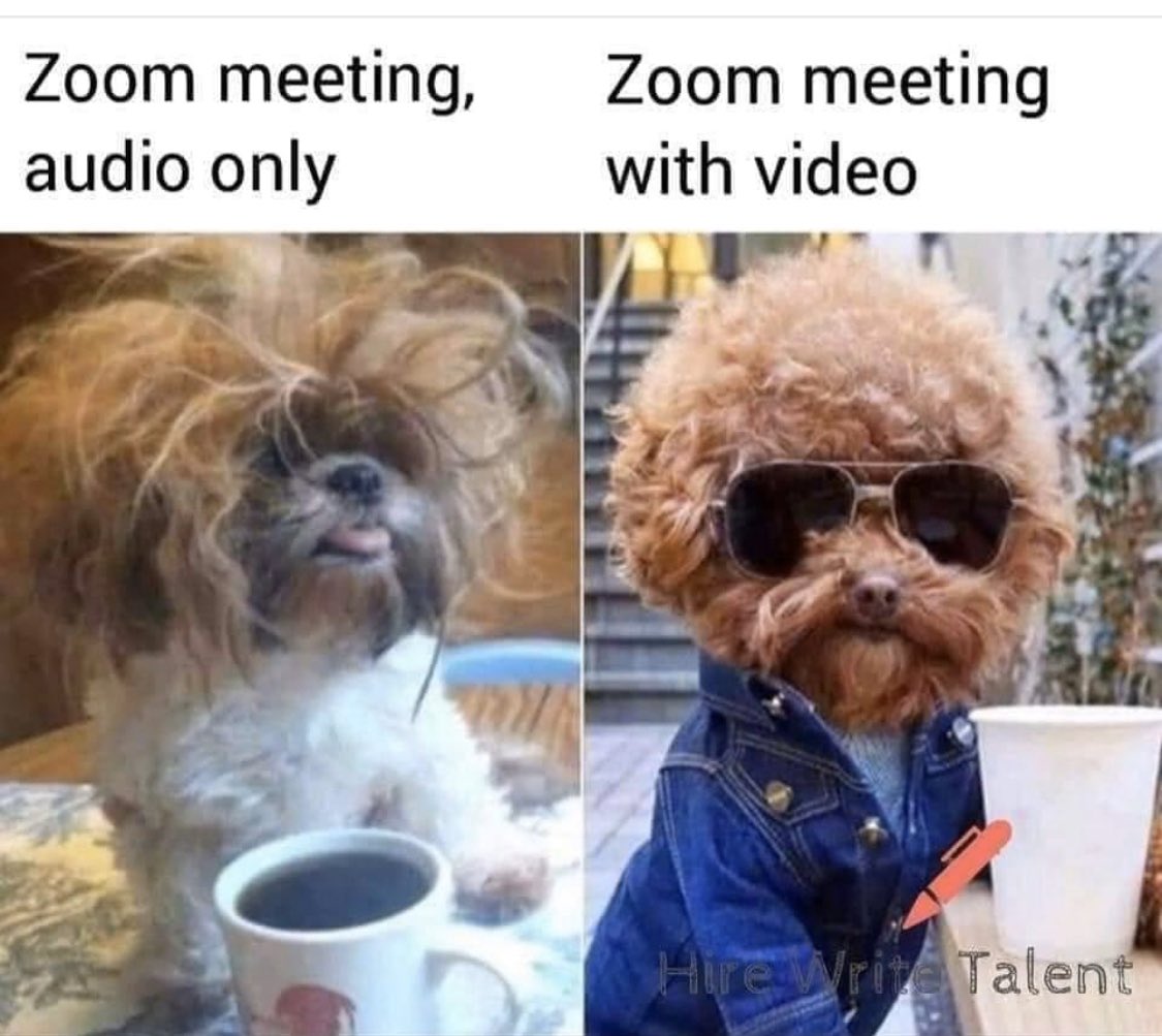 Anne Chow (周慧安) tweet media