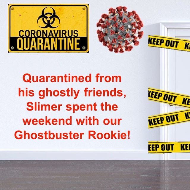 CLEGhostbusters's tweet photo. Quarantined from Stay Puft and Zuul, Slimer enjoyed a weekend away with one of our Ghostbusters and her cat. He found lots of things to occupy himself. Watch some of his highlights from the weekend. 
We hope you and your family are doing well during this difficult time. Stay well https://t.co/8PZL6cLmCd