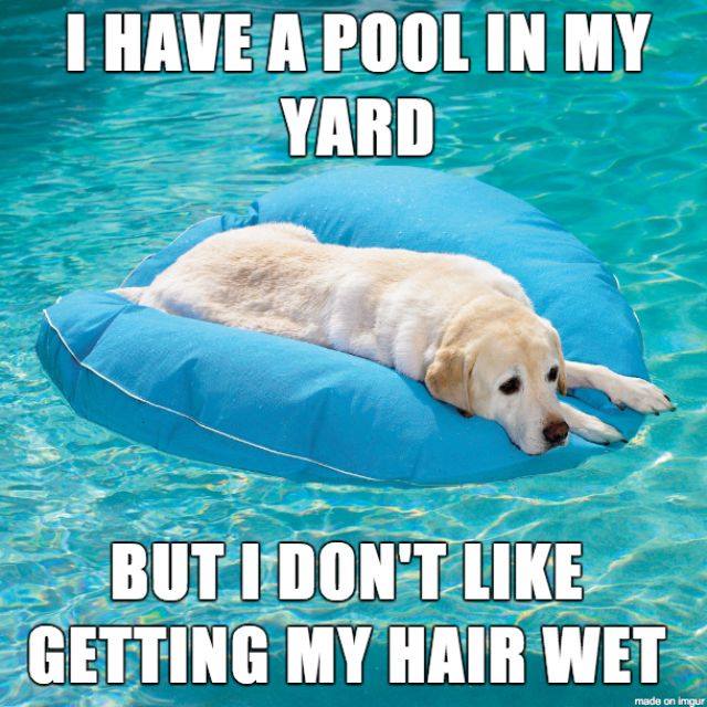 LakeNormanPools's tweet image. Caution. You may get wet.

#lakenorman #poolhumor #funinthepool #lakenormannc