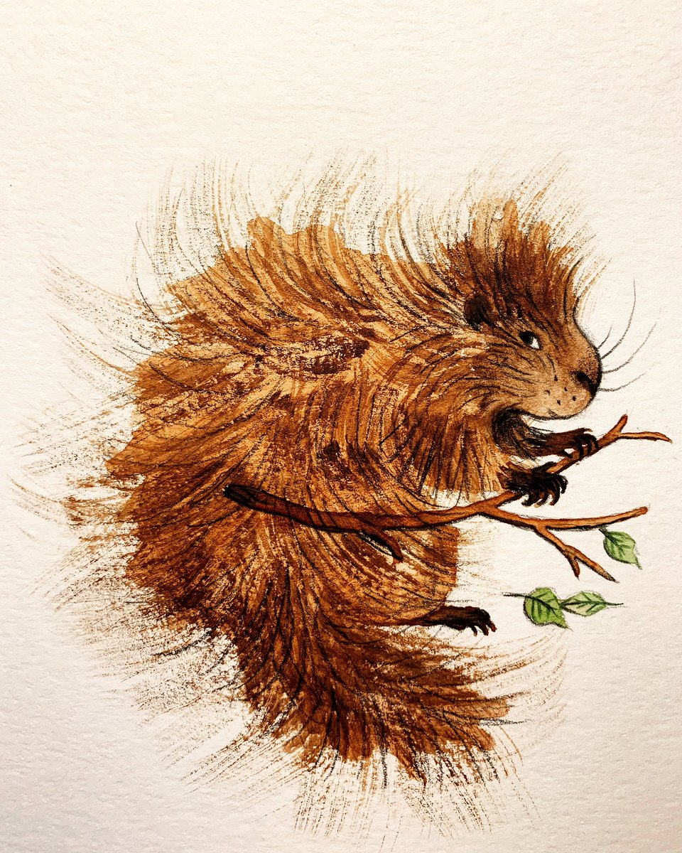 potpies's tweet photo. when you’re anxious you don’t always feel like drawing or painting but on the other hand I’ve always relied on drawing or painting as a refuge. Anyway, here’s a porcupine. https://t.co/HSBaDiXIMg