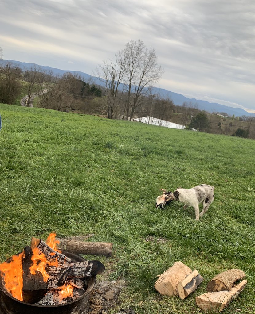 Kirstiebolton78's tweet photo. Spent our Sunday, #SocialDistancing on our 9.5 acre farm, our happy place enjoying Godβs beautiful views & just reflecting on how truly blessed we are. Thankful for a slowdown. β€οΈ #SlowDownAndEnjoyTheView #BlessedAndGrateful #FarmSweetFarm https://t.co/EmvyFJOZPl