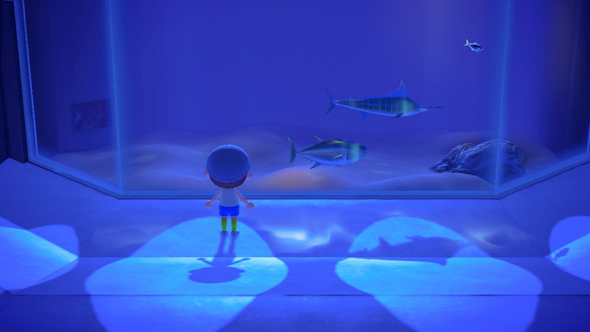 CL___2's tweet image. #动物森友会 #AnimalCrossing #ACNH #NintendoSwitch