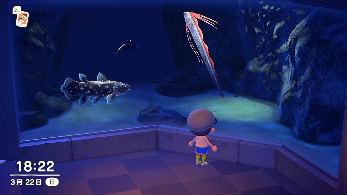 CL___2's tweet image. #动物森友会 #AnimalCrossing #ACNH #NintendoSwitch