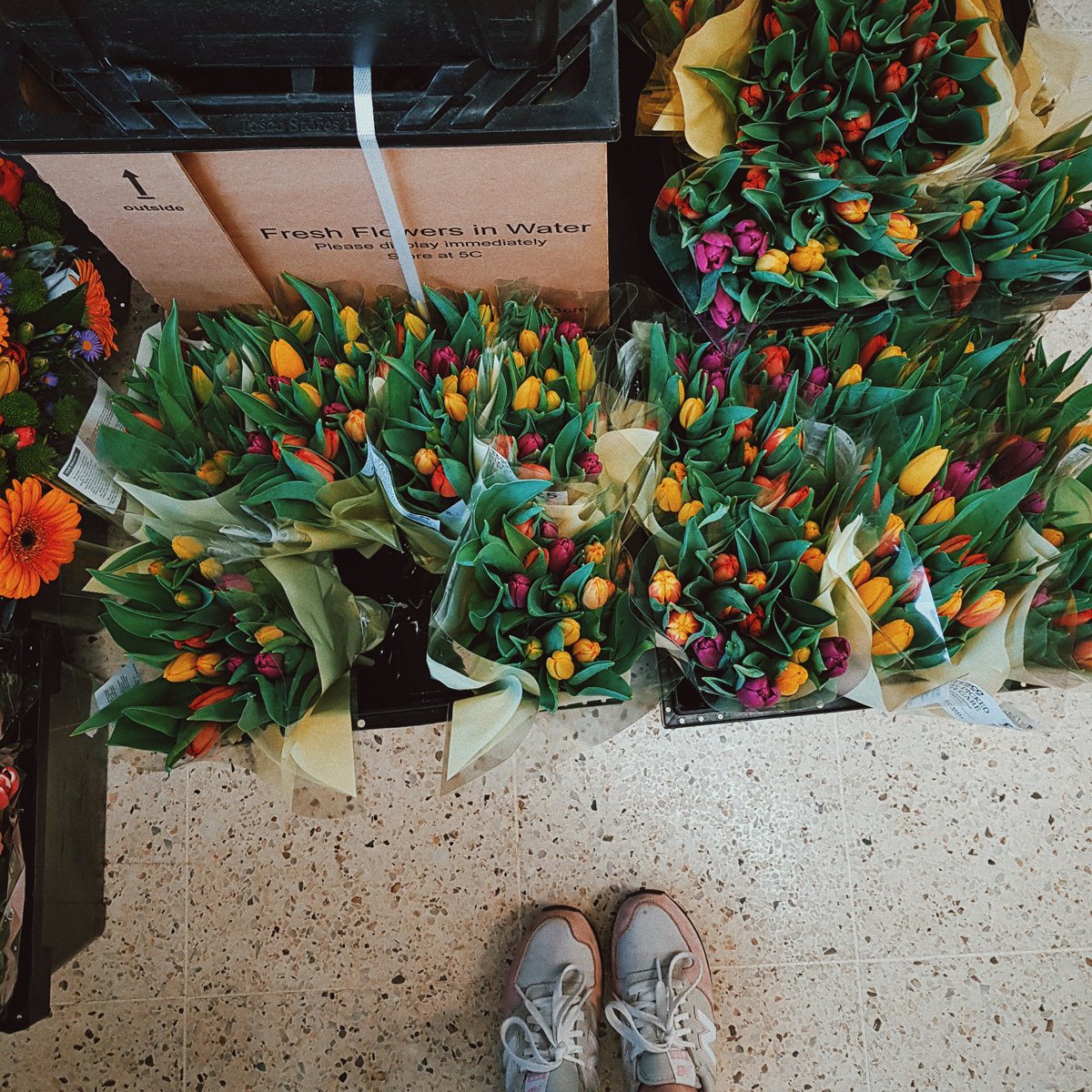 22.3.2020: three okay things• the weather perked up & I managed to dry my sheets outside • some floral loveliness amid the quiet of my hometown • spending the day with my wonderful mum  #threeokthings  #seekingsunshine