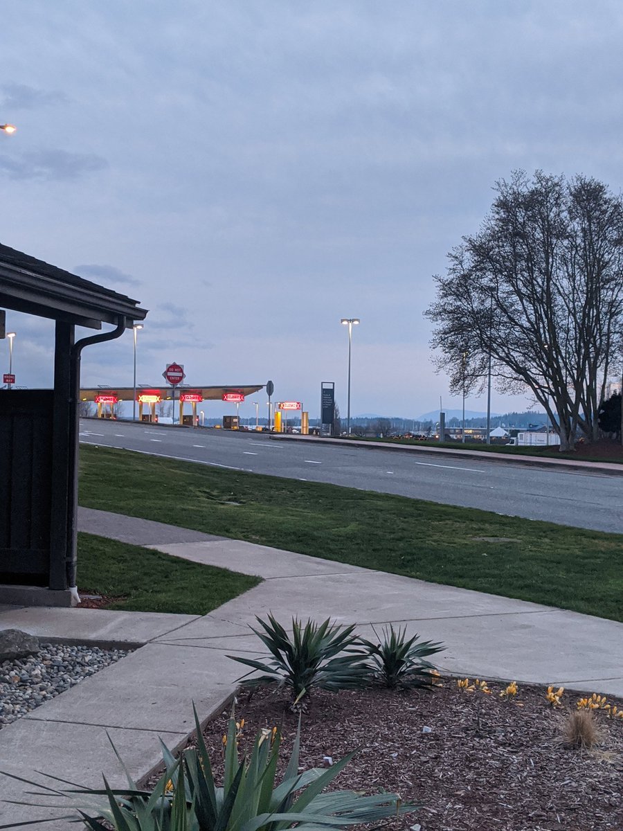 crazeeadventure's tweet image. Another nice evening walk
#peacearch #borderclosed 
#borderclosier #peacearchborder 
#borders