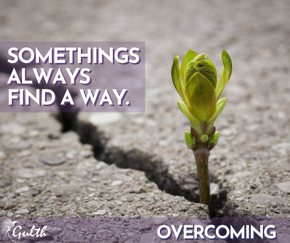 OneGulth's tweet image. You have what it takes, actually you have more than enough.

Breaking through and transforming into something special is an awesome experience. Second only to the experience of helping someone else step into their greatness.

You are the greatest gifts you could ever experience.