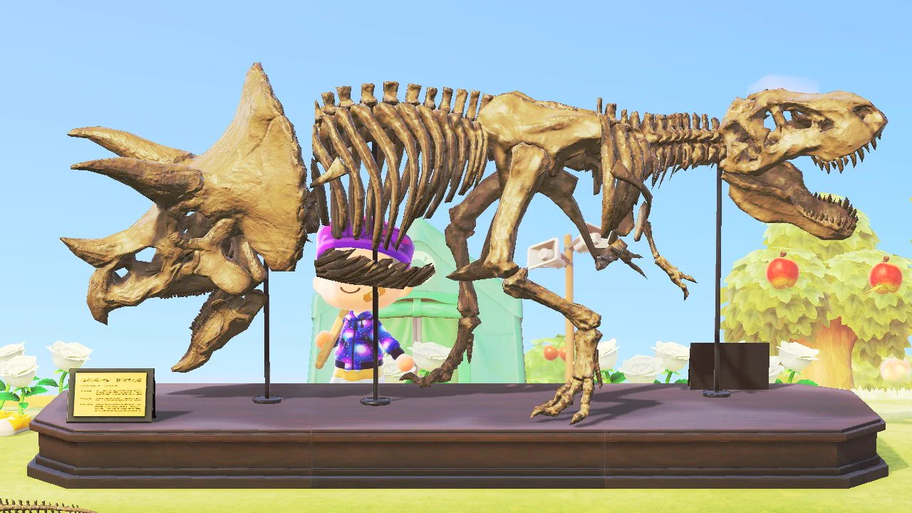 ガラル地方出身がどうぶつの森で化石を復元すると・・・？