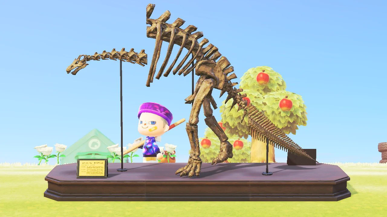 ガラル地方出身がどうぶつの森で化石を復元すると・・・？