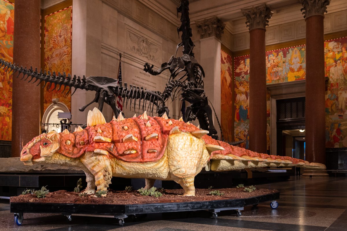 FoodNetwork's tweet photo. You HAVE to see #TeamBuddy's life-size dinosaur cake! #BuddyVsDuff https://t.co/QXmvWdU5Fp