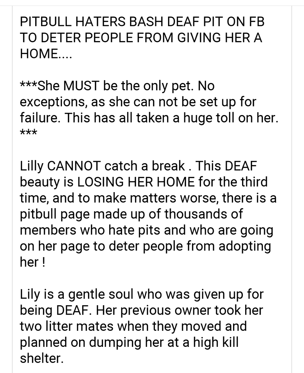 kaylamarie413's tweet photo. Please share beautiful Lilly in #WantaghNY email Adopt@roadtohomerescue.org #deafdog #deafpittie #pleaseshare #pleaseRTRT https://t.co/2yICtNSxDC